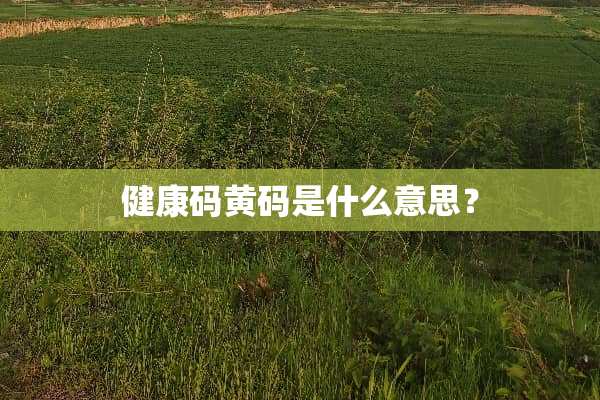 健康码黄码是什么意思？