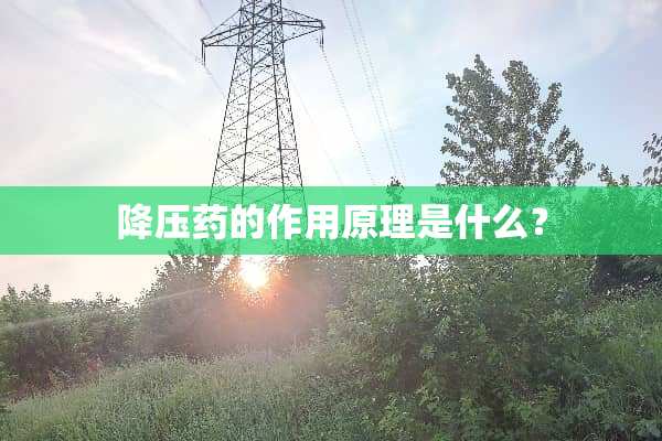 降压药的作用原理是什么？
