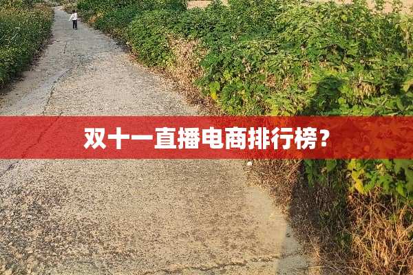双十一直播电商排行榜？