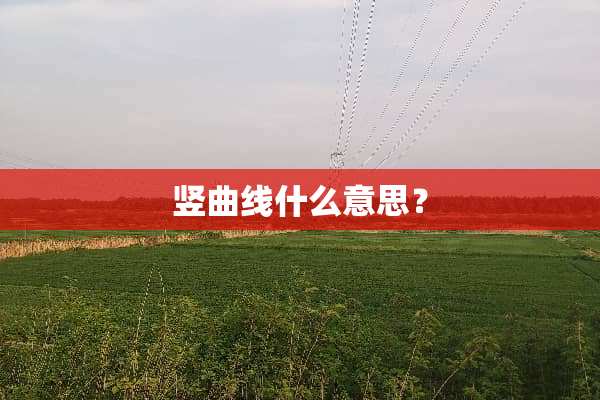 竖曲线什么意思？