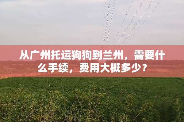 从广州托运狗狗到兰州，需要什么手续，费用大概多少？