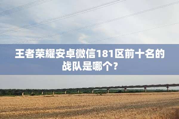 王者荣耀安卓微信181区前十名的战队是哪个？