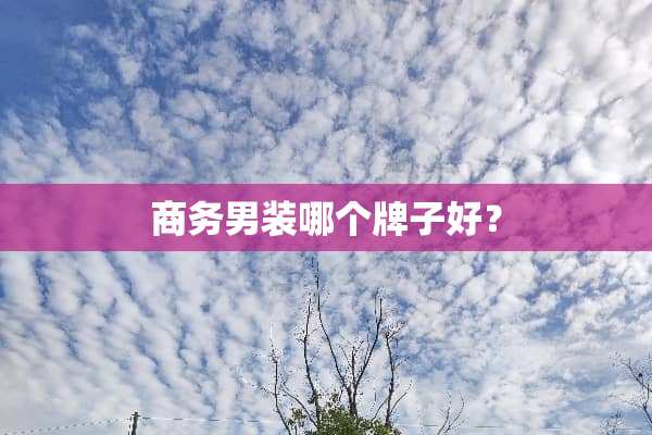 商务男装哪个牌子好？