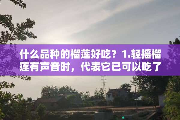 什么品种的榴莲好吃？1.轻摇榴莲有声音时，代表它已可以吃了 。 挑外表像狼牙棒的