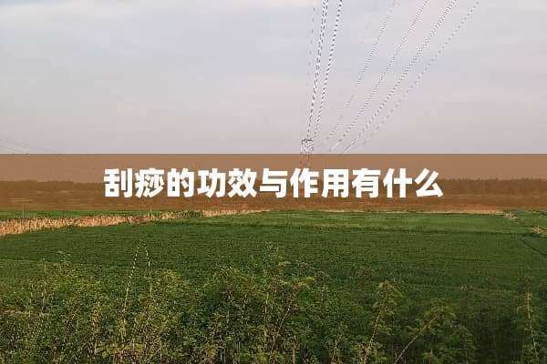 刮痧的功效与作用有什么