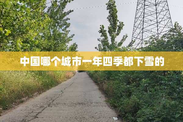 中国哪个城市一年四季都下雪的
