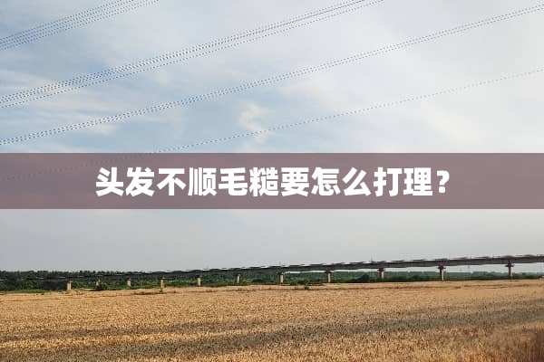 头发不顺毛糙要怎么打理？
