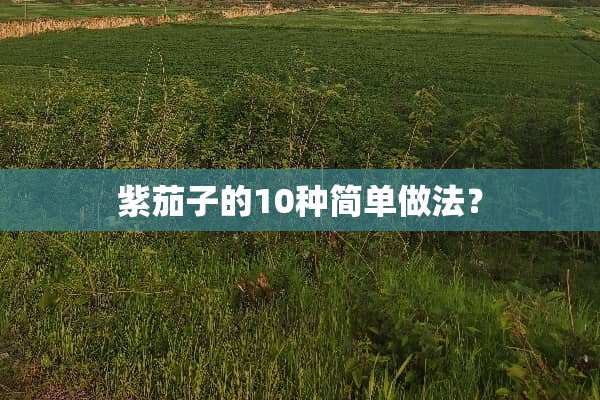 紫茄子的10种简单做法？
