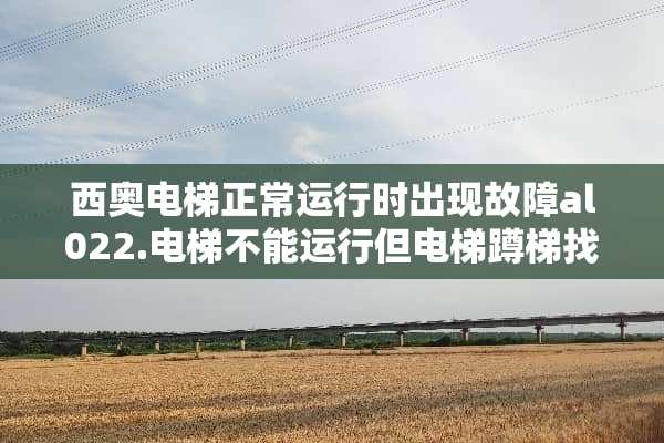 西奥电梯正常运行时出现故障al022.电梯不能运行但电梯蹲梯找层。是怎么回事