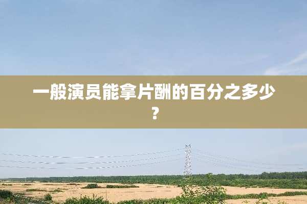 一般演员能拿片酬的百分之多少？