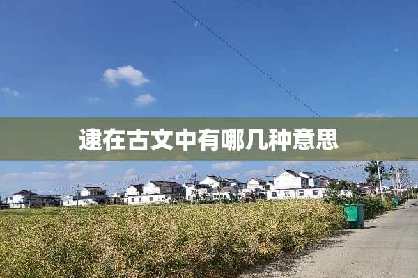 逮在古文中有哪几种意思