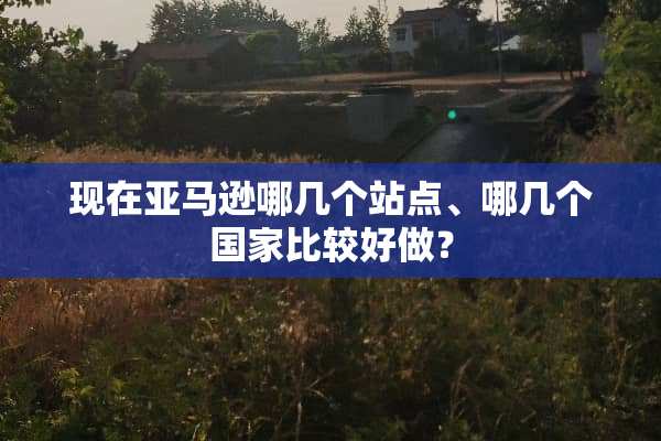 现在亚马逊哪几个站点、哪几个国家比较好做？