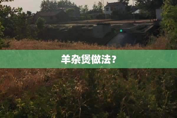 羊杂煲做法？