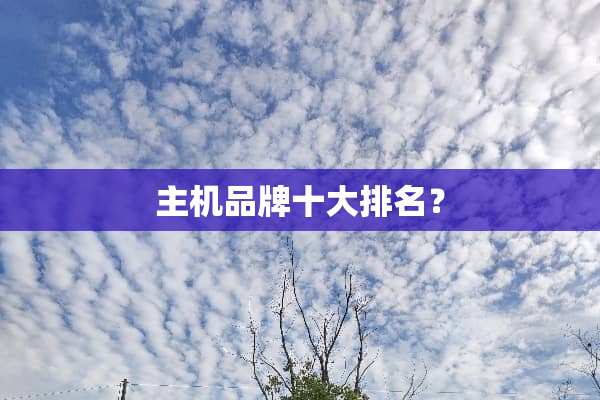 主机品牌十大排名？