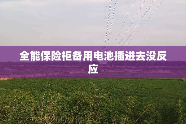 全能保险柜备用电池**去没反应