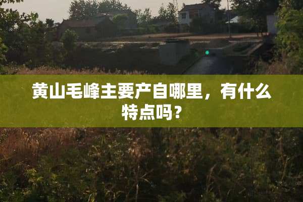 黄山毛峰主要产自哪里，有什么特点吗？