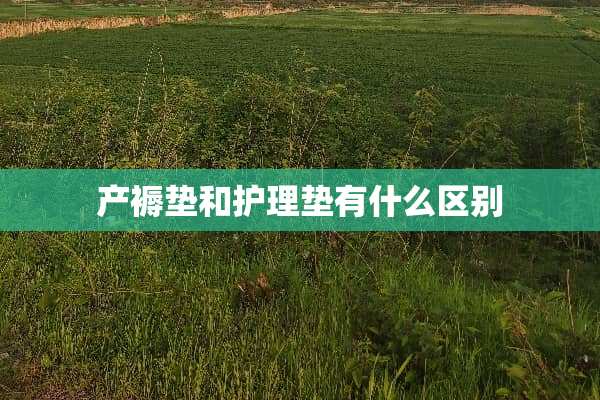 产褥垫和护理垫有什么区别