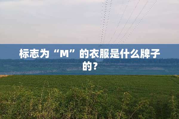 标志为“M”的衣服是什么牌子的？