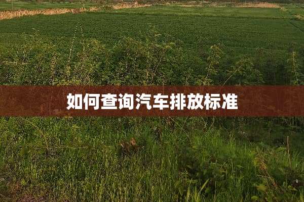 如何查询汽车排放标准