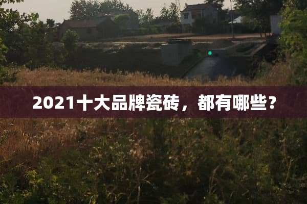 2021十大品牌瓷砖，都有哪些？