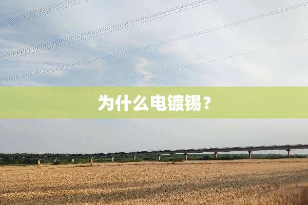 为什么电镀锡？