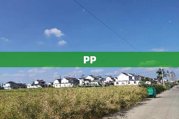 PP