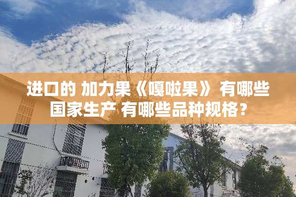 进口的 加力果《嘎啦果》 有哪些国家生产 有哪些品种规格？
