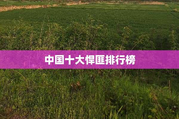 中国十大悍匪排行榜