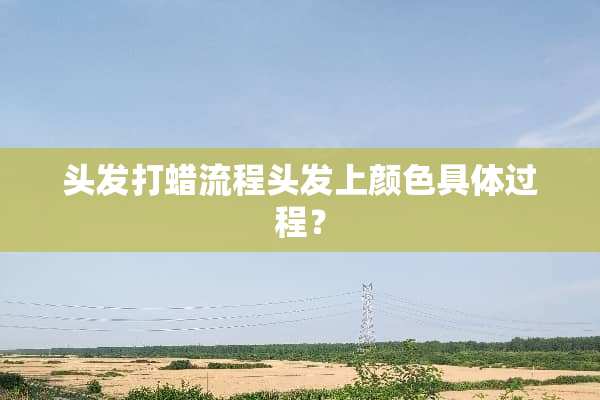 头发打蜡流程头发上颜色具体过程？