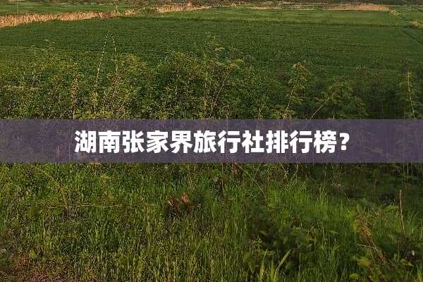 湖南张家界旅行社排行榜？
