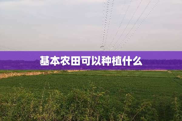 基本农田可以种植什么