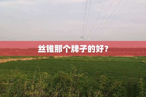 丝锥那个牌子的好？