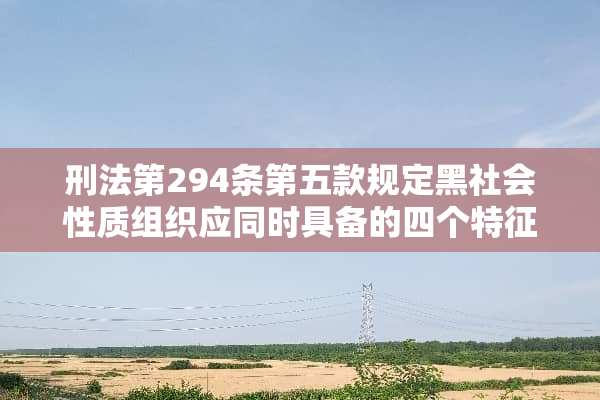 刑法第294条第五款规定***性质组织应同时具备的四个特征是什么