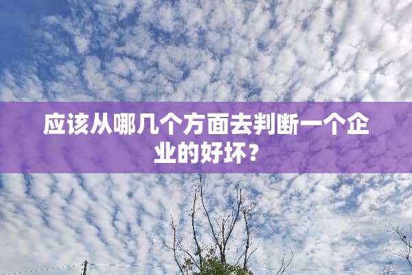 应该从哪几个方面去判断一个企业的好坏？