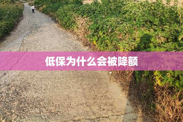 低保为什么会被降额