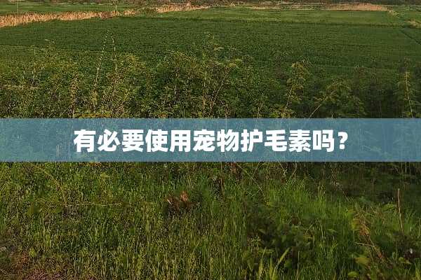 有必要使用宠物护毛素吗？