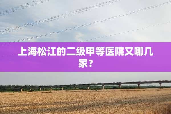 上海松江的二级甲等医院又哪几家？