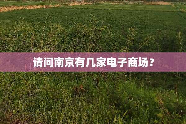 请问南京有几家电子商场？