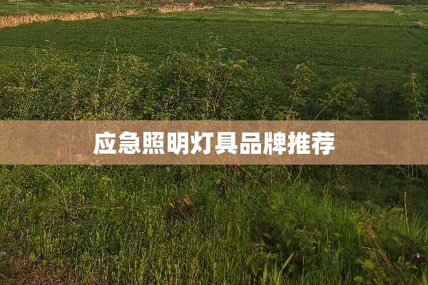 应急照明灯具品牌推荐