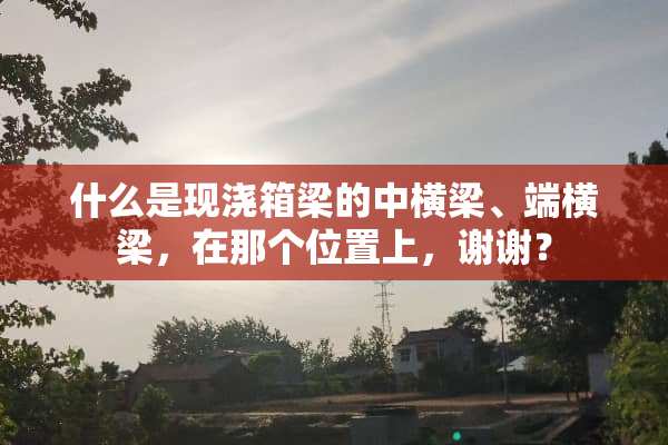 什么是现浇箱梁的中横梁、端横梁，在那个位置上，谢谢？