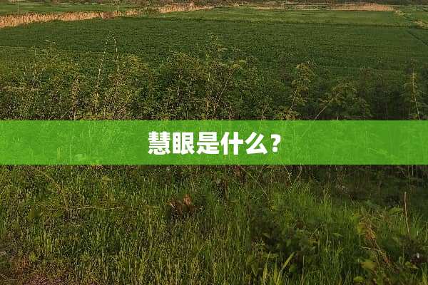 慧眼是什么？