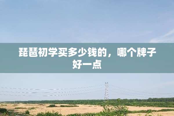 琵琶初学买多少钱的，哪个牌子好一点