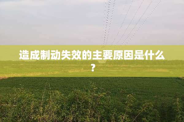 造成制动失效的主要原因是什么？