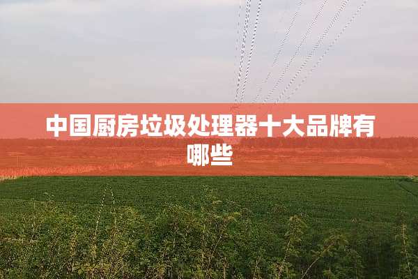 中国厨房垃圾处理器十大品牌有哪些