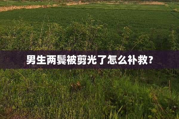 男生两鬓被剪光了怎么补救？