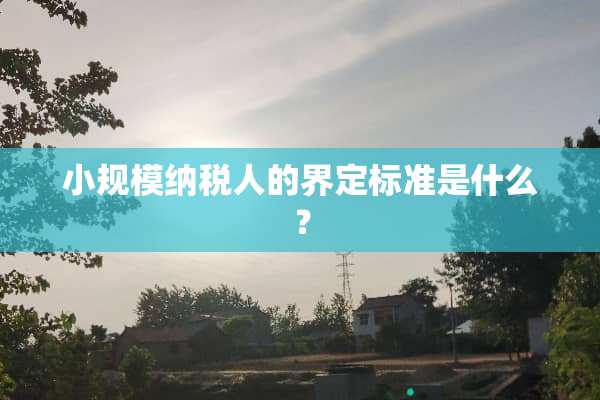 小规模纳税人的界定标准是什么？