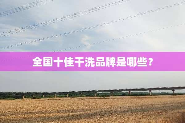 全国十佳干洗品牌是哪些？