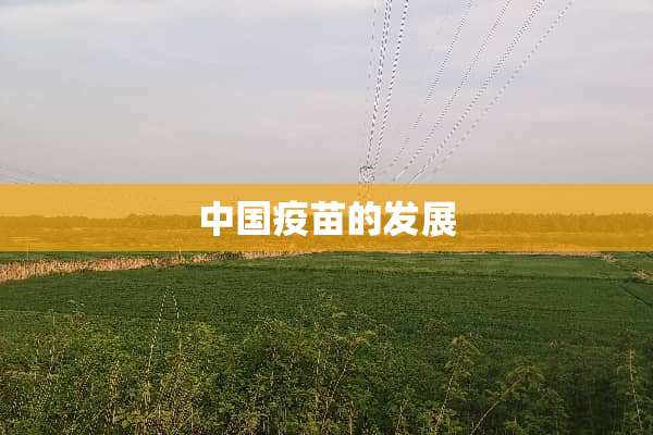 中国**的发展