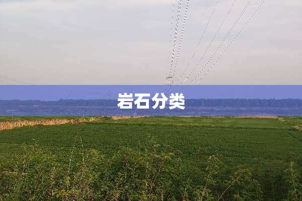 **分类