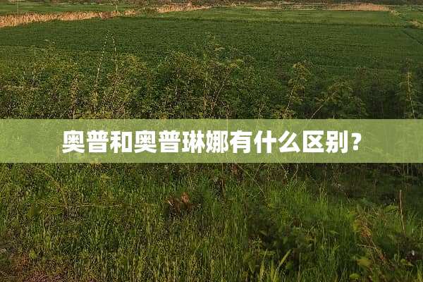 奥普和奥普琳娜有什么区别？